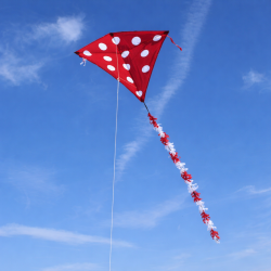 Latawiec Eddy Dots Red - Sklep z latawcami