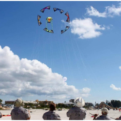 Revolution 1.5 Reflex RX Purple