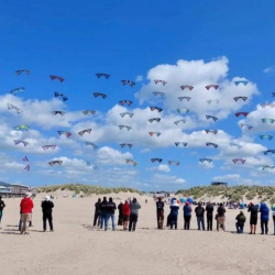 Revolution 1.5 Reflex RX Purple