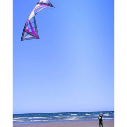 Revolution 1.5 Reflex RX Spider Web (vented) Purple