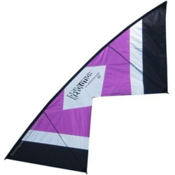 Revolution Indoor Purple-white-black