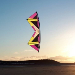 Revolution Reflex XX Lime-purple