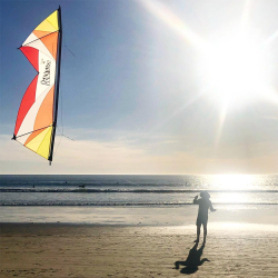 Revolution Reflex XX Yellow-orange