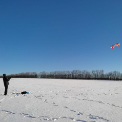 Revolution Reflex XX Yellow-orange