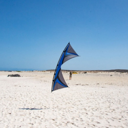 Spiderkites Shiva 2024 Charcoal