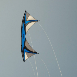 Spiderkites Shiva 2024 Charcoal