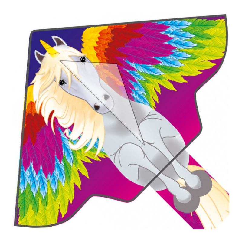 Latawiec Simple Flyer 120 Pegasus - Sklep z latawcami