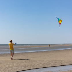 HQ Delta Hawk Neon-Rainbow