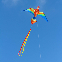 HQ Parrot Kite