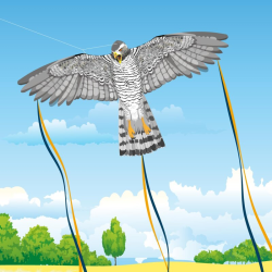 Henry The Hawk