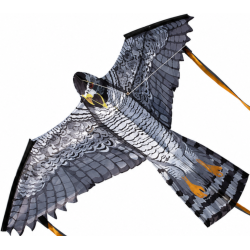 Henry The Hawk