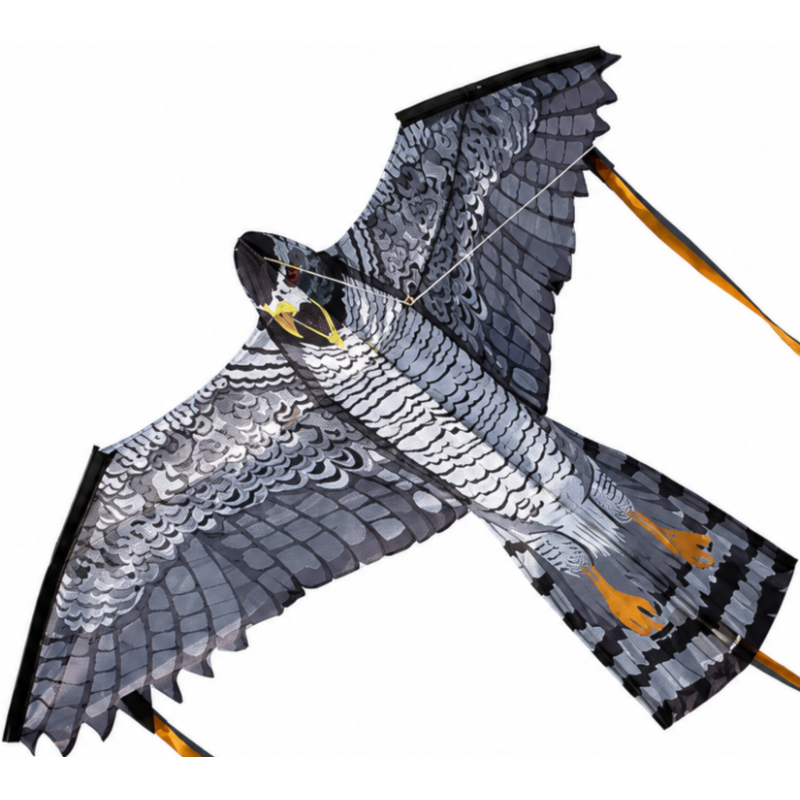 Henry The Hawk