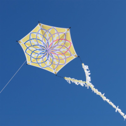 Alicja's Lotus Kite Złoty