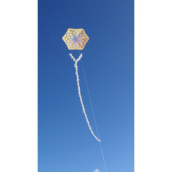 Alicja's Lotus Kite Złoty