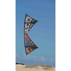 Spiderkites Shiva Core Graffiti