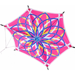 Alicja's Lotus Kite Różowy