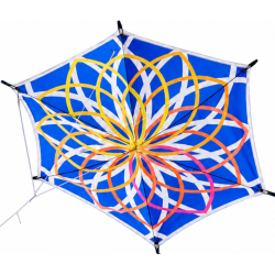 Alicja's Lotus Kite Niebieski