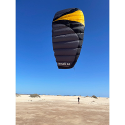 Spiderkites Wasabi 2025 2.8