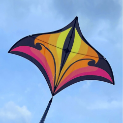 Brasington Swift Delta red-yellow