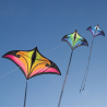 Brasington Swift Delta blue-green