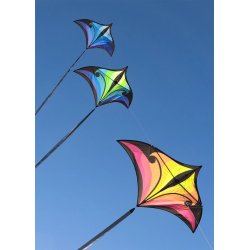 Brasington Swift Delta blue-green