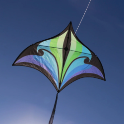 Brasington Swift Delta blue-green