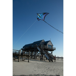 Brasington Swift Delta purple-blue