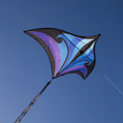 Brasington Swift Delta purple-blue
